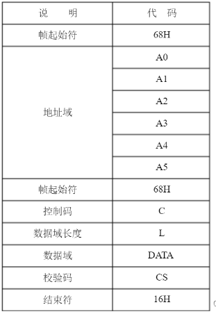 Protocol Format